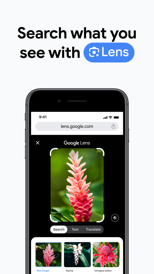 #2. Google Chrome (iOS) Podle: Google