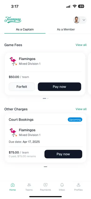 Teampay iPhone screenshot 1