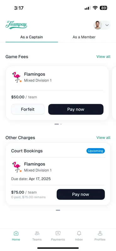 Teampay screenshot 1 of 5