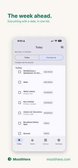 MostliHere screenshot 2