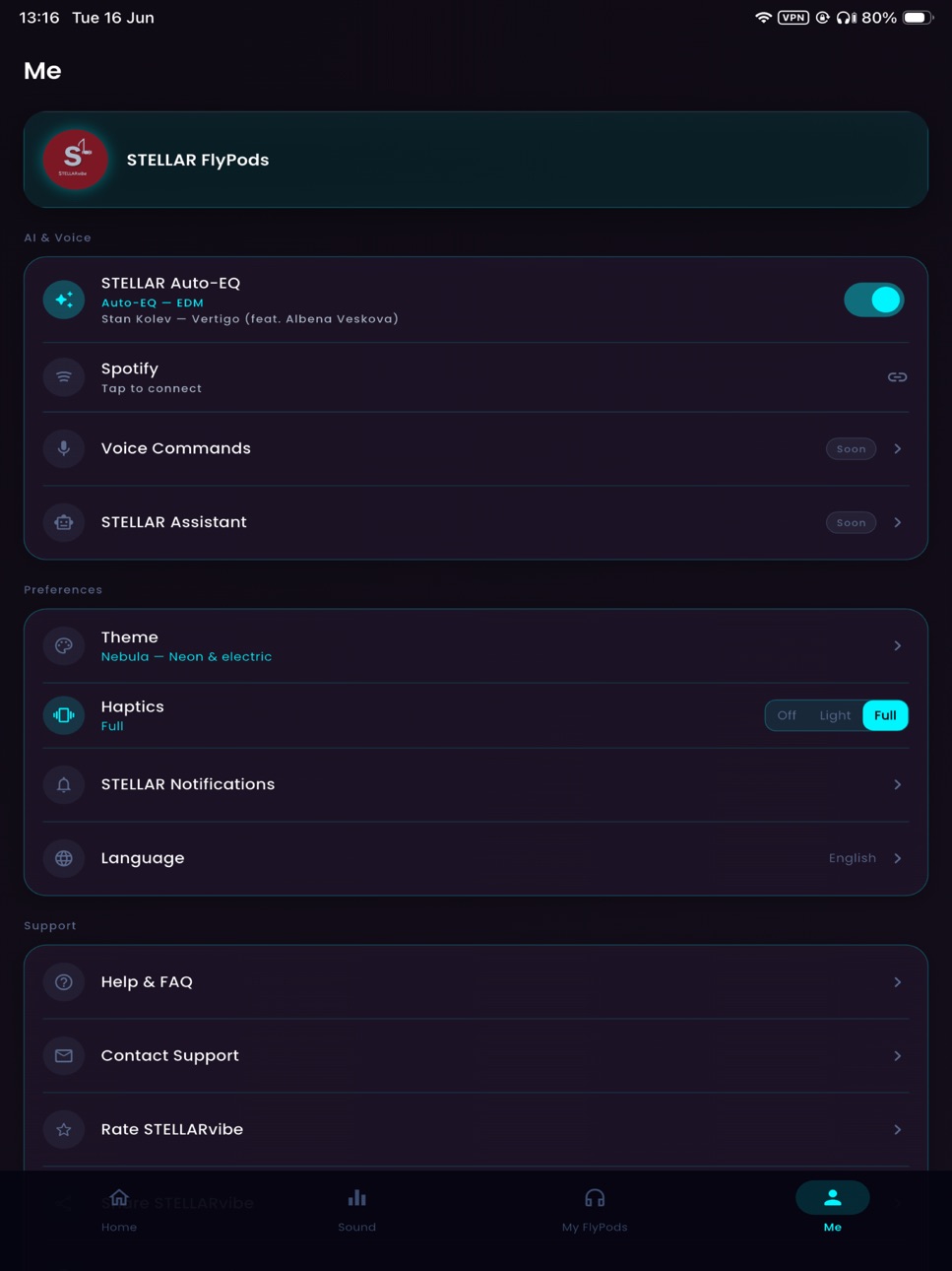 iPad screenshot