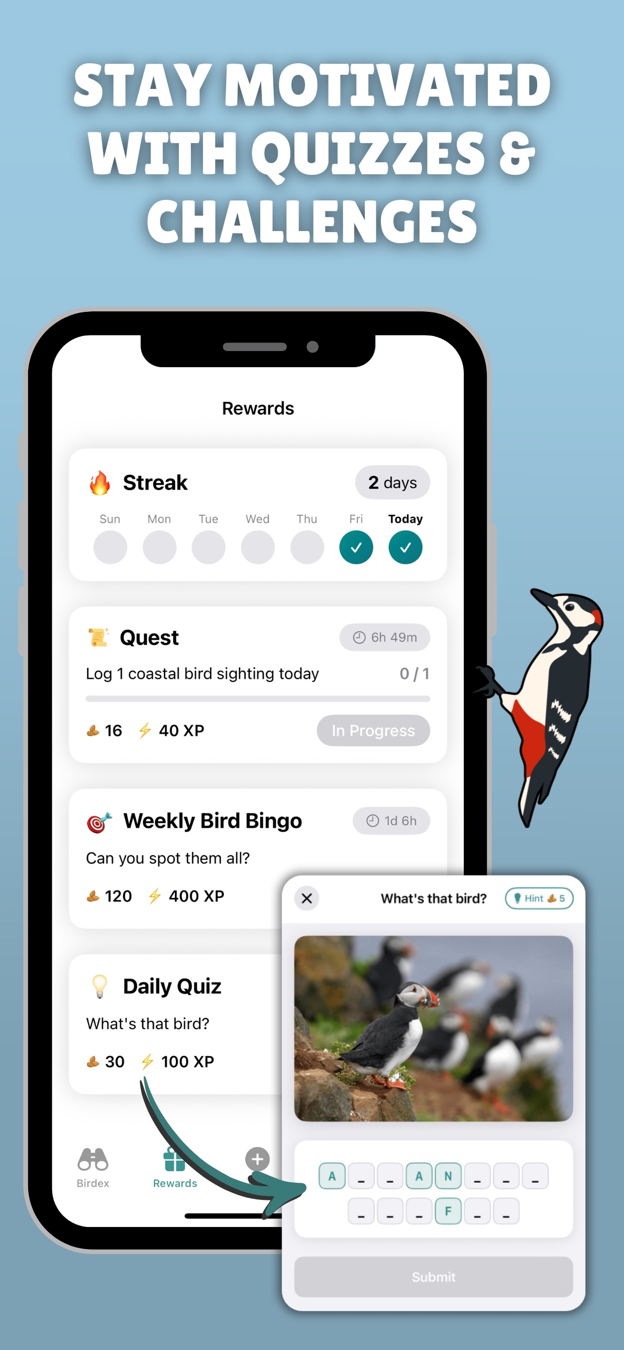 Birdex: UK Bird Watching App