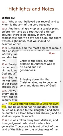 iPieta Screenshot 8 of 9