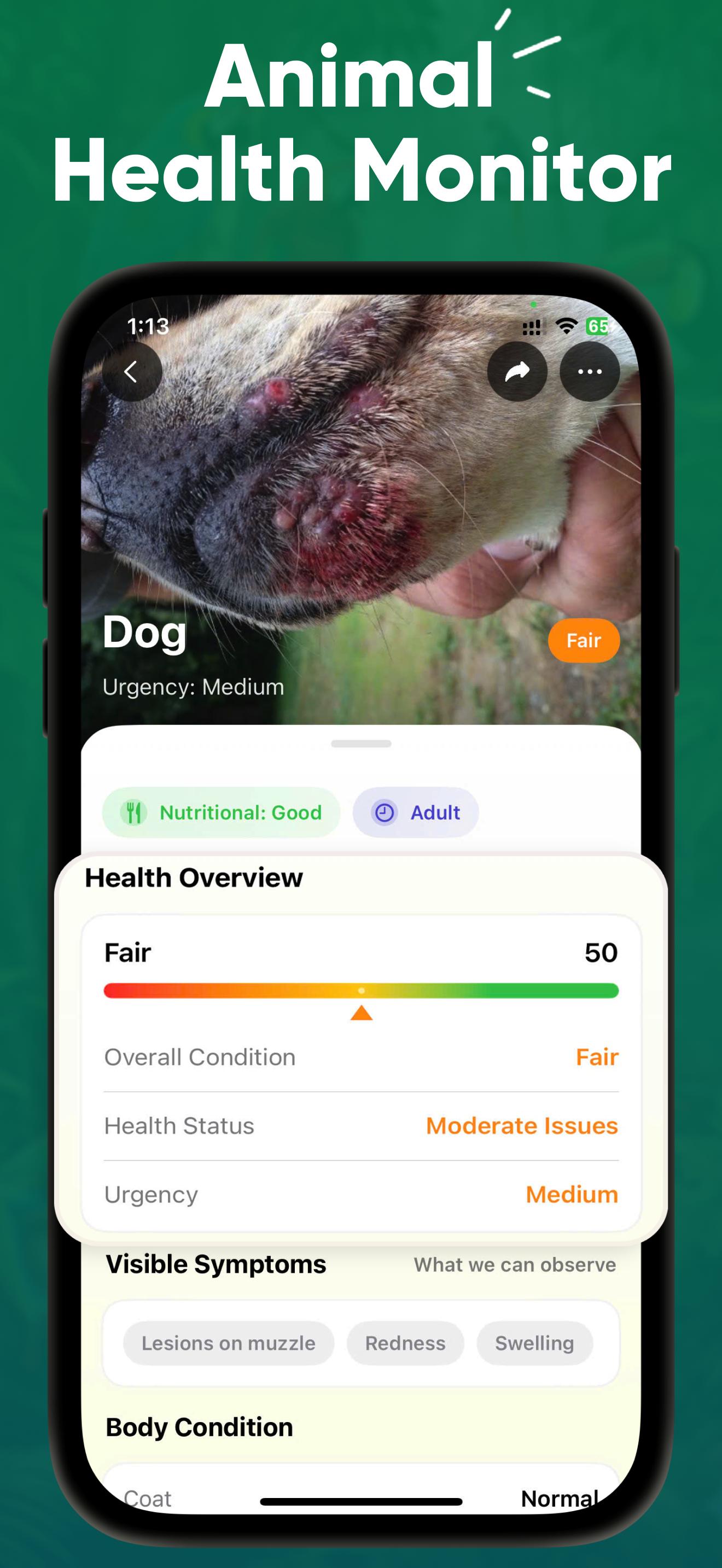 Beast ID - Animal Identifier