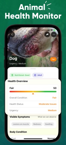 Animal Identifier - Beast ID screenshot