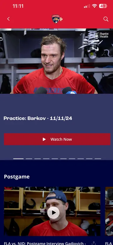 Panthers Plus screenshot 3