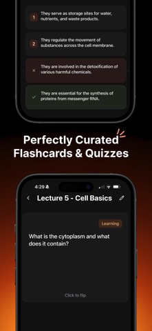 Studley AI: AI笔记与卡片 screenshot