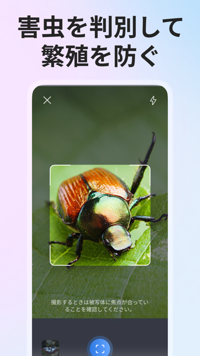 Picture Insect: 写真から昆虫やクモを識別するのスクリーンショット - 4