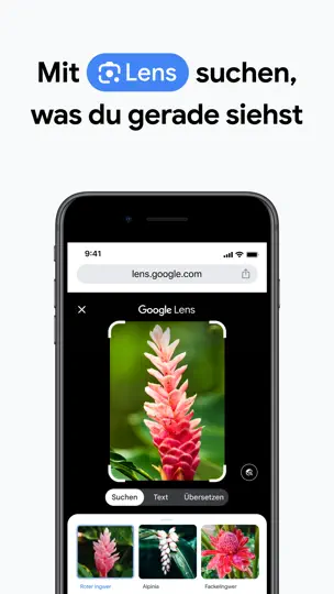 Screenshot von Google Chrome auf dem iPhone 2