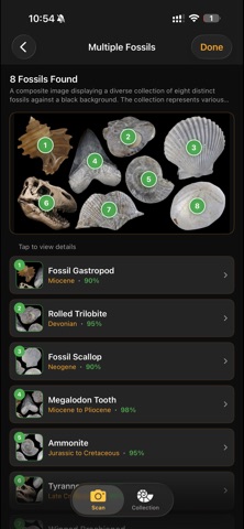Fossilise Screenshot 9 of 10