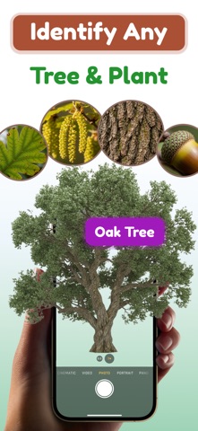 Tree and Plant Identifier Screenshot 1 of 7