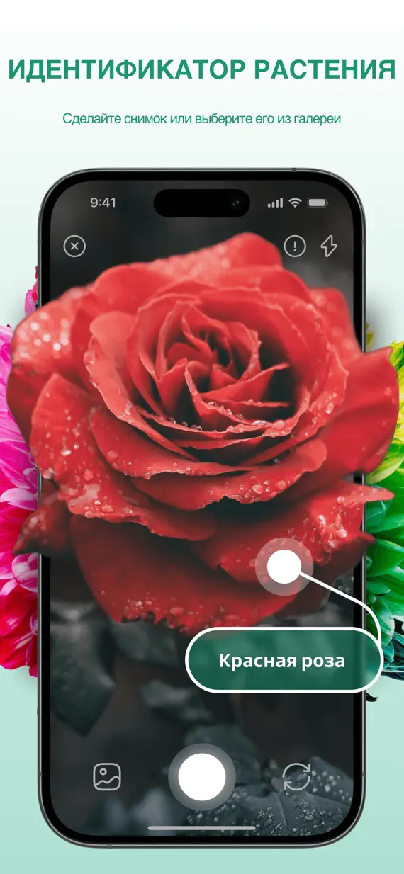 PlantExpert Leaf Identifier screenshot 1