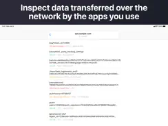 WebProxyTool - Inspect Network iPad image 1