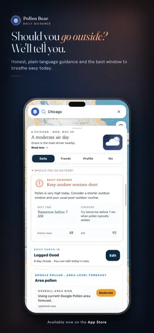 Pollen Bear screenshot 3