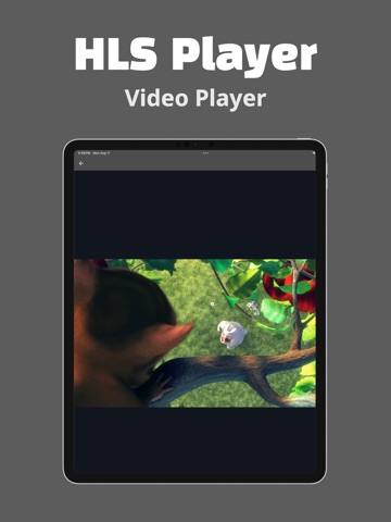 HLS Player - M3U8 Streamer iPad screenshot