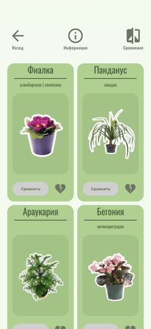 Flowers'Choice screenshot