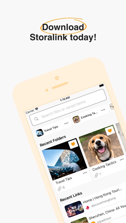 Storalink screenshot-5