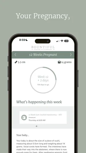 Bountiful Parenthood App screenshot 2