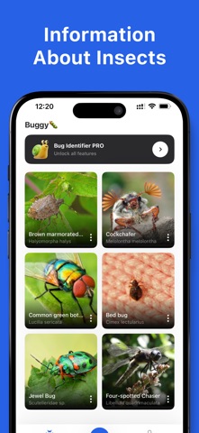 Bug Identifier App™ Screenshot 2 of 4