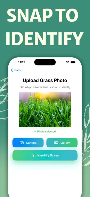 Grass Identifier - AI Scanner screenshot 4