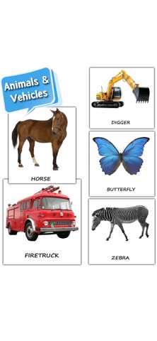 My First 100 Word Flashcards iPhone screenshot
