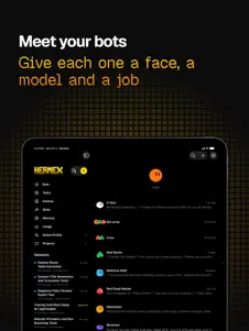 Hermes Mobile Companion 2