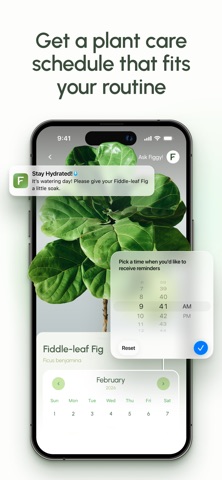 Figgy: Plant Care & Identifier screenshot