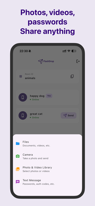 FlashDrop - file sharing Screenshot 3 of 3