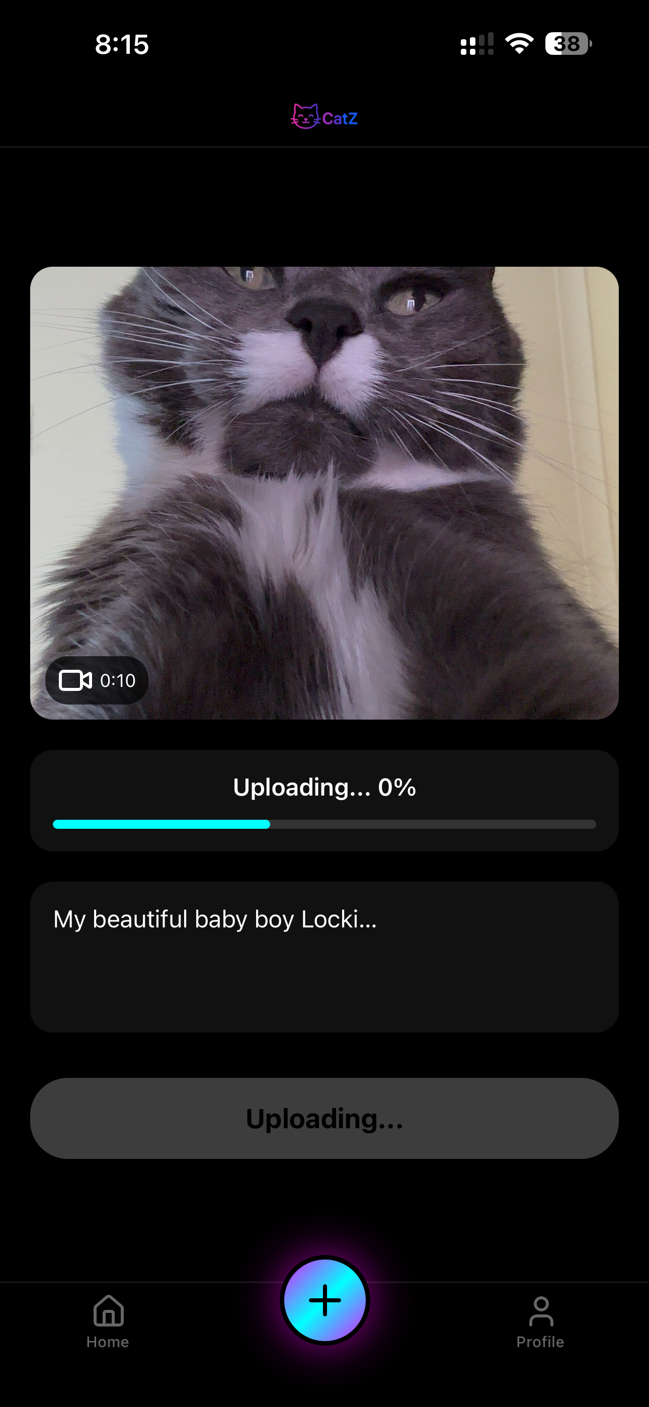 CatZ: Furly Social screenshot 5