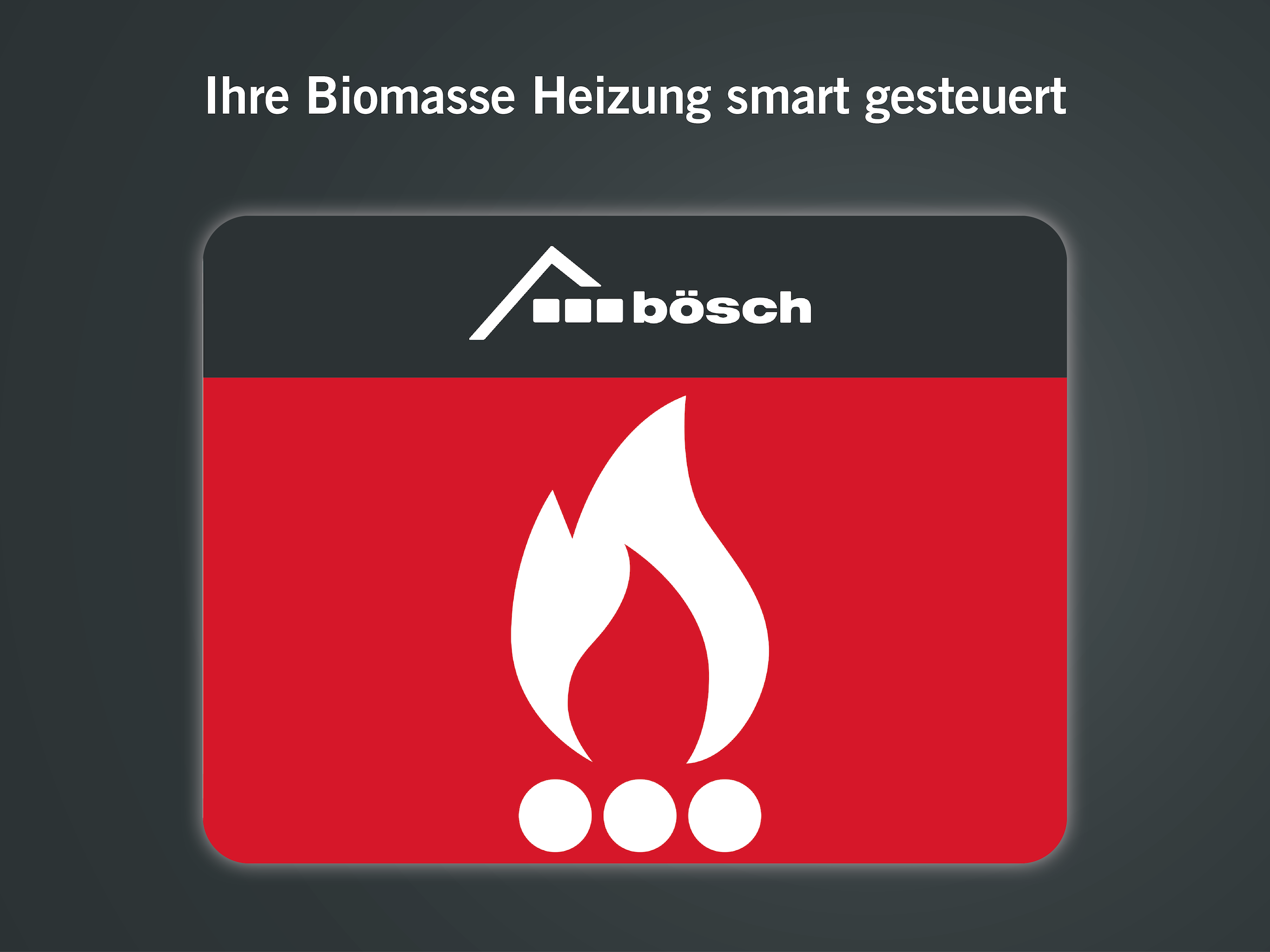bösch Biomasse screenshot 8