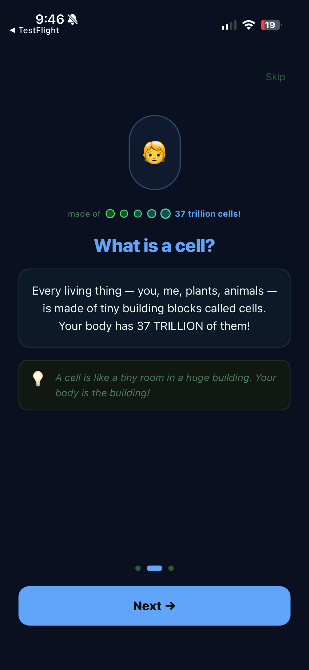 Money Cells