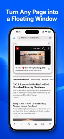 Split Screen: Dual Browser iPhone screenshot