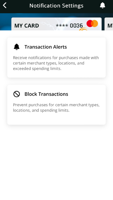 EnergyDEBIT Screenshot