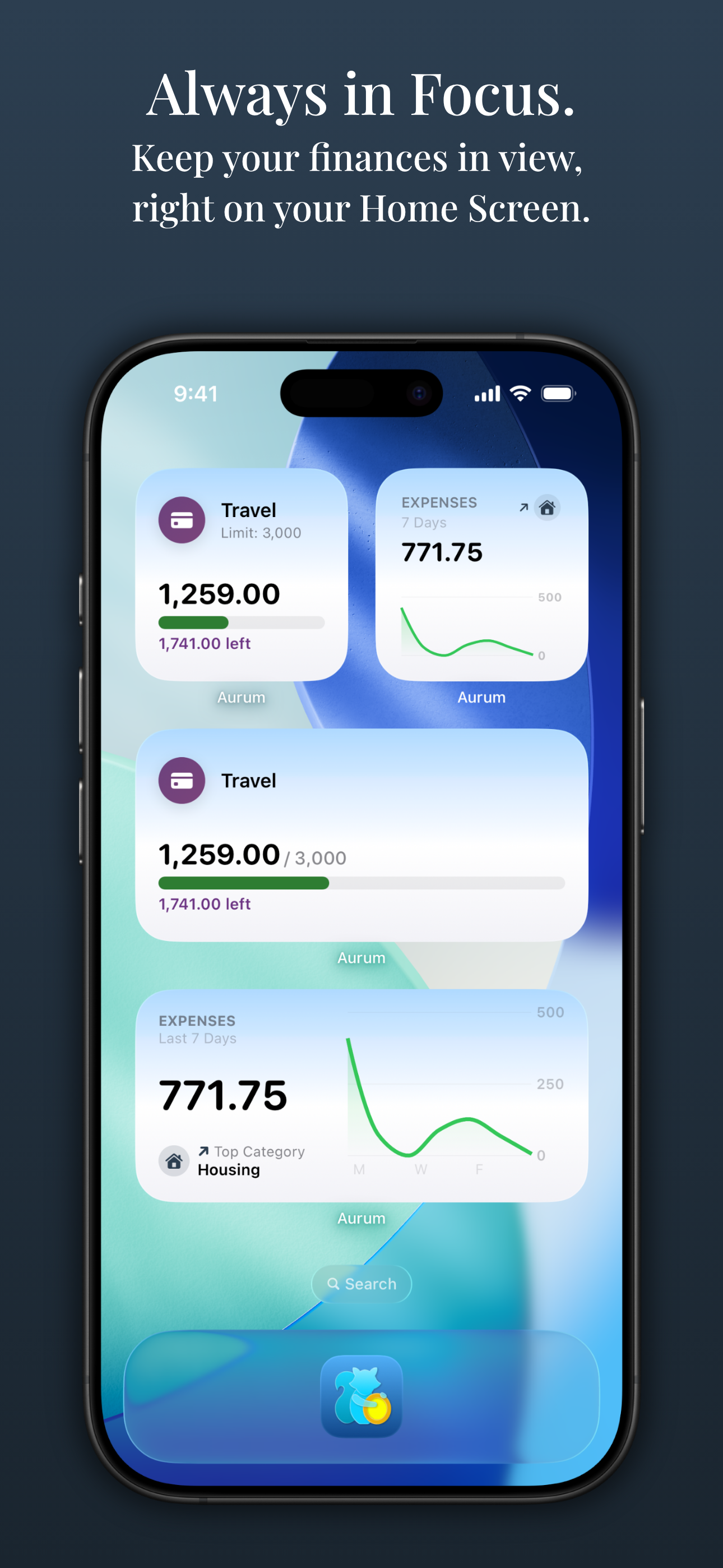 Aurum – Budget & Expenses
