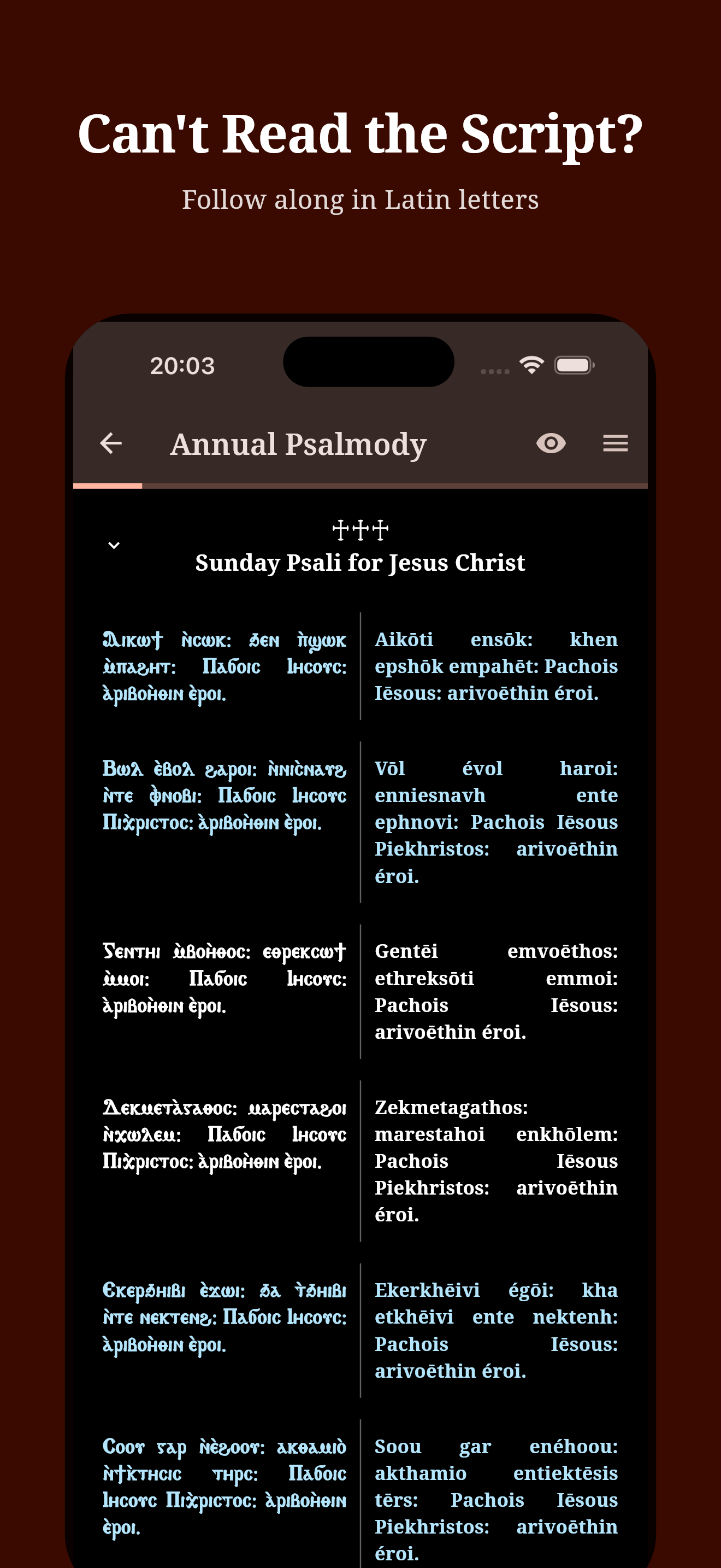One Coptic Library screenshot 6