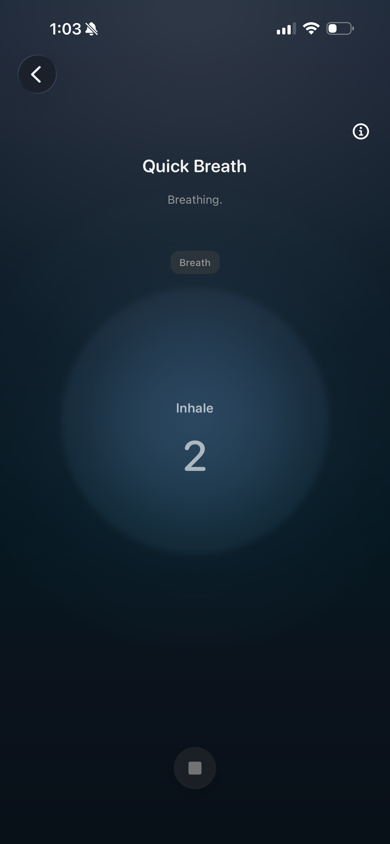 Mind Craft Meditation screenshot 4