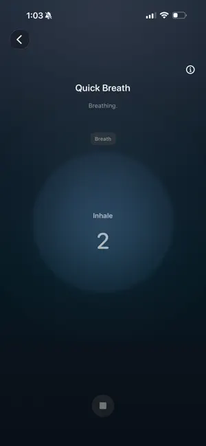 Mind Craft Meditation screenshot 4