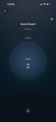 Mind Craft Meditation Screenshot 4 of 9