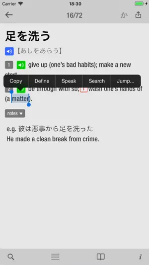 10000 Japanese Idioms screenshot 2