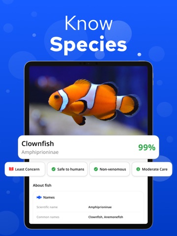 Fish Identifier – Fishium iPad screenshot