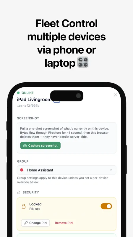 HA Kiosk screenshot 5 of 5