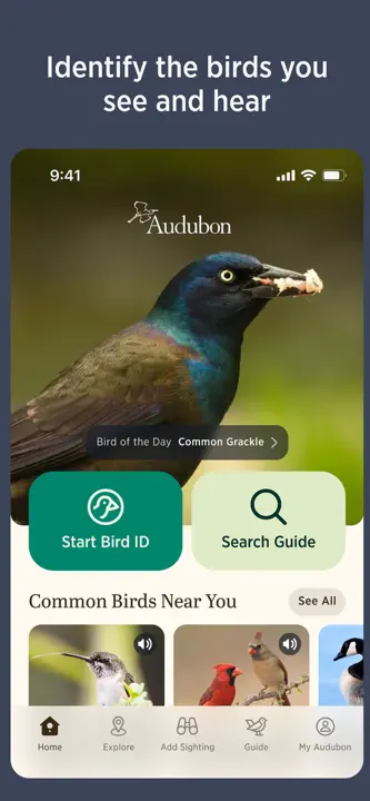 Audubon Bird Guide: Screenshot 3 von 6
