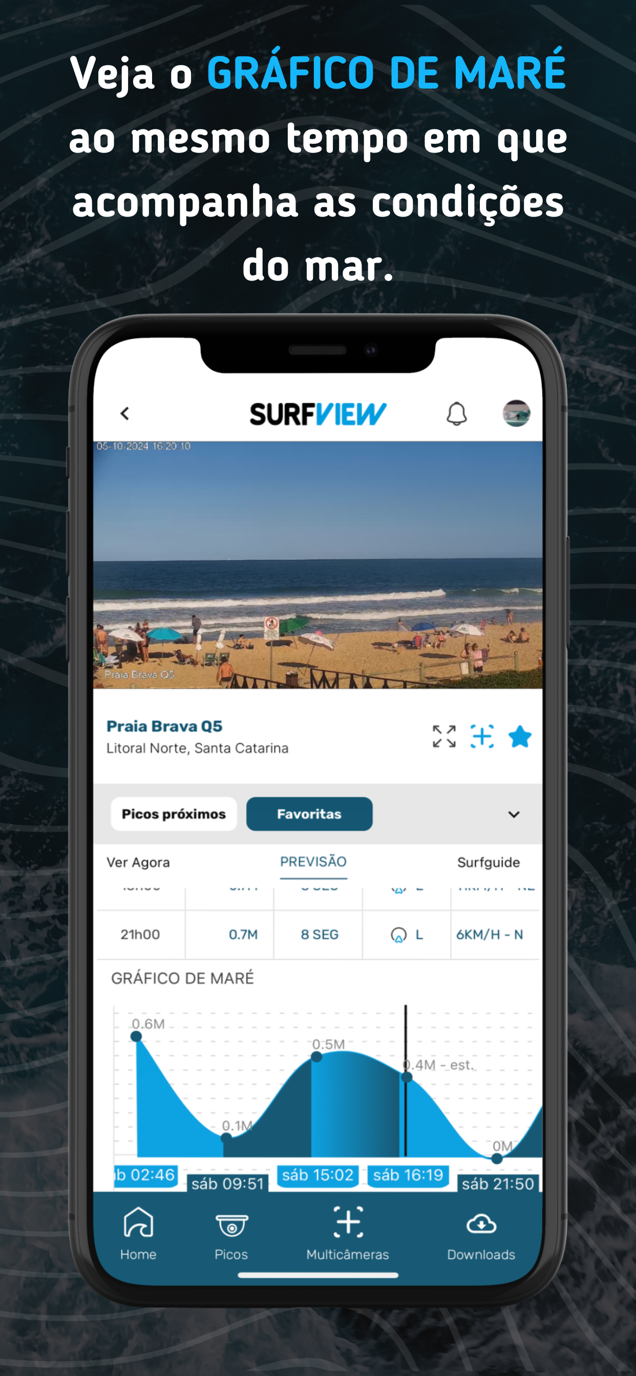 SurfView