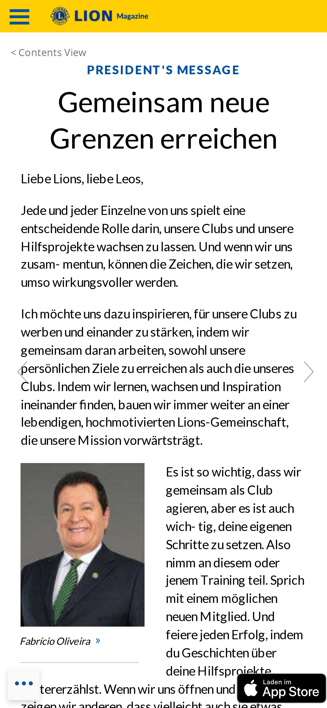 LION Magazine Österreich screenshot 5