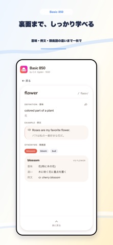 Basic 850 Screenshot 4 of 9