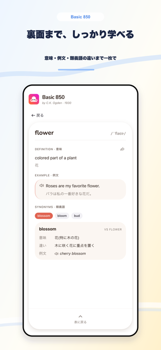 Basic 850 Screenshot 4 of 9