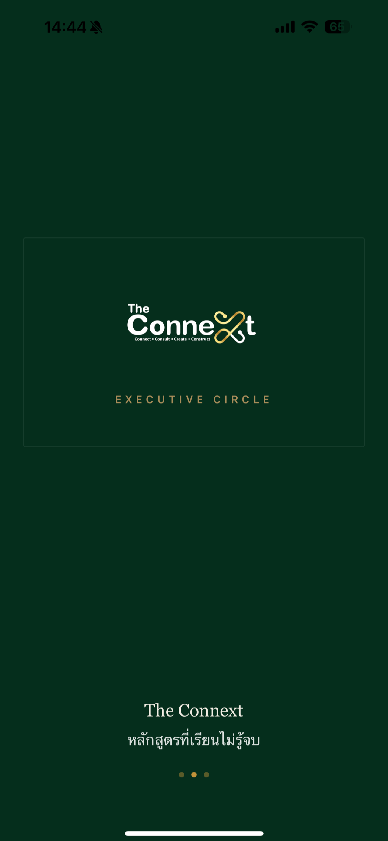 The Connext screenshot 2