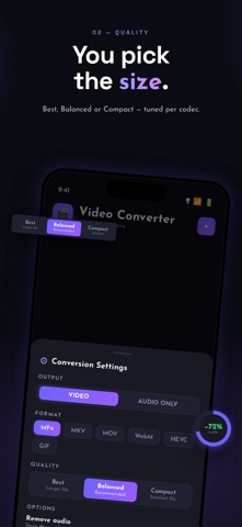 Just a Simple Video Converter screenshot