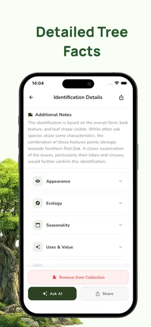 Tree Identifier: Plant & Leaf screenshot 3
