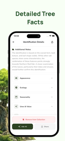 Tree Identifier: Plant & Leaf Screenshot 3 of 4